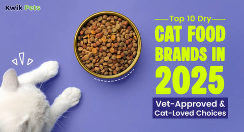 Top 10 Dry Cat Food Brands in 2025: Vet-Approved & Cat-Loved Choices
