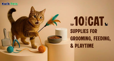 Top 10 Must-Have Cat Supplies for Grooming, Feeding, and Playtime
