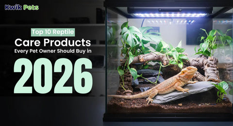 Top 10 Reptile Care Products Every Pet Owner Should Buy in 2026