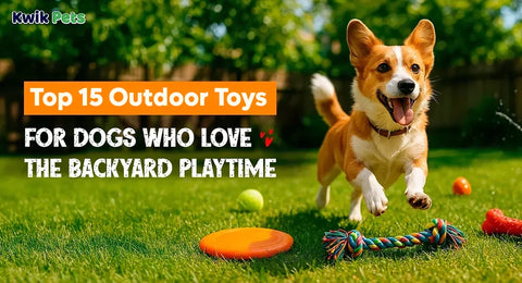 Top 15 Outdoor Toys For Dogs Who Love The Backyard Playtime