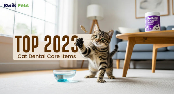 Top 2023 Cat Dental Care Items