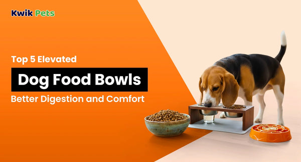 Top 5 Elevated Dog Food Bowls for Better Digestion and Comfort