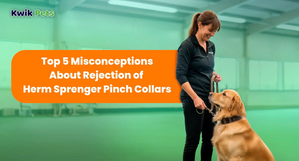 Top 5 Misconceptions About Rejection of Herm Sprenger Pinch Collars