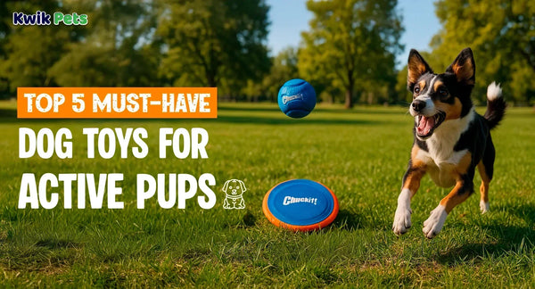 Top 5 Must-have Chuckit Dog Toys for Active Pups