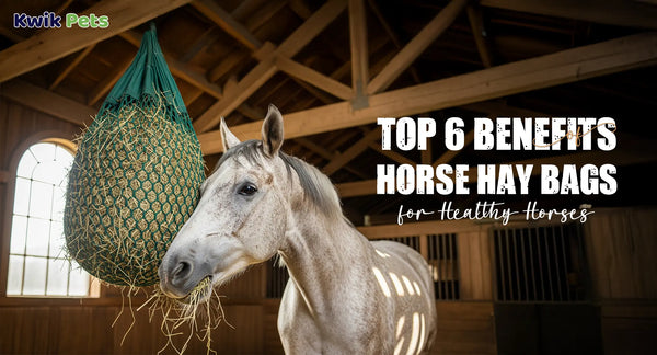 Top 6 Benefits of Horse Hay Bags for Healthy Horses
