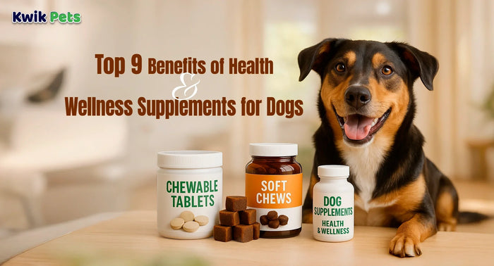 Top 9 Benefits of Health and Wellness Supplements for Dogs