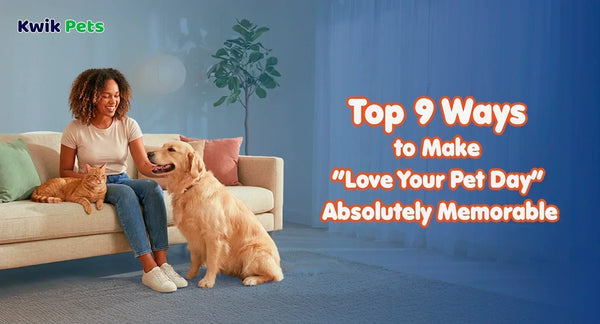 Top 9 Ways to Make Love Your Pet Day Absolutely Memorable