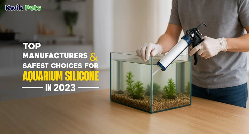 Top Manufacturers & Safest Choices for Aquarium Silicone