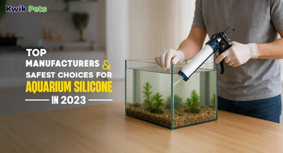 Top Manufacturers & Safest Choices for Aquarium Silicone