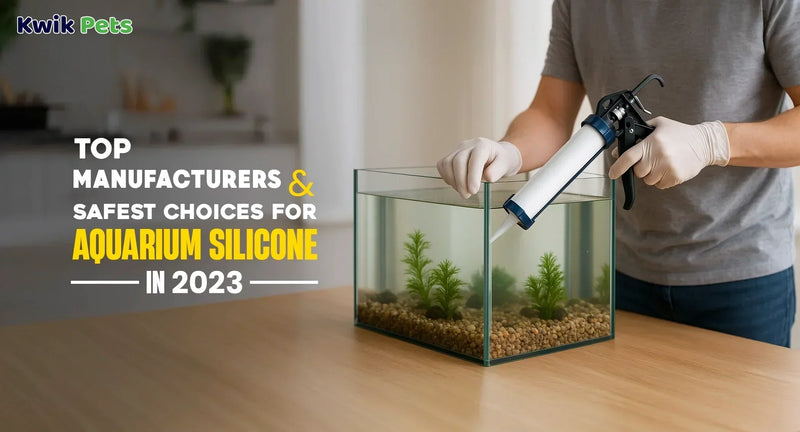 Top Manufacturers & Safest Choices for Aquarium Silicone