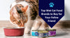 Top Wet Cat Food Brands to Buy for Your Feline Friend