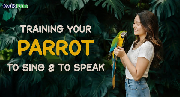Training Your Parrot To Sing And To Speak