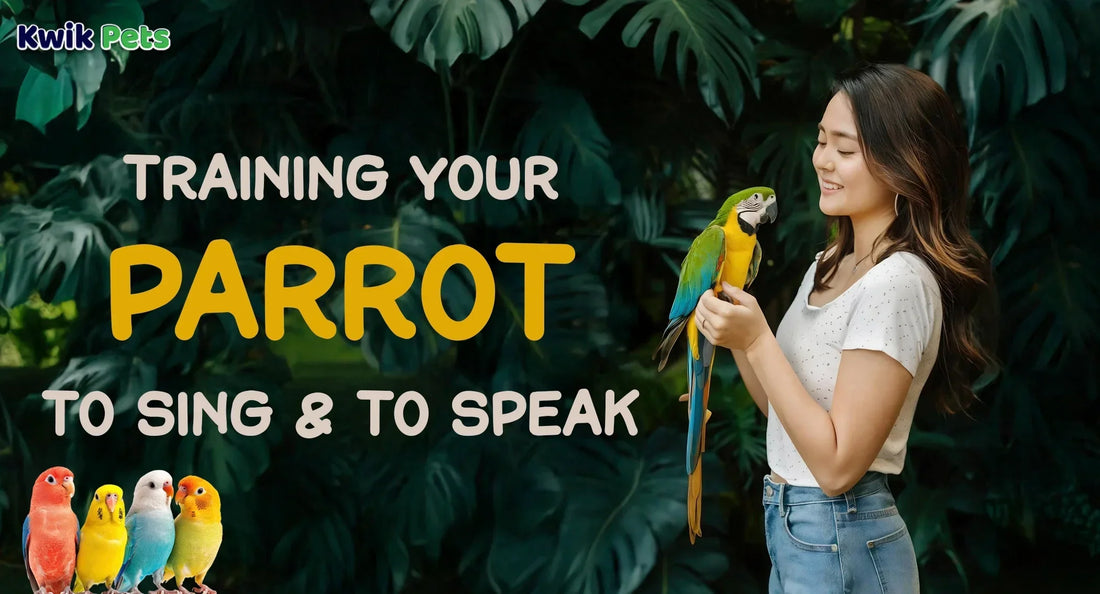 Training Your Parrot To Sing And To Speak