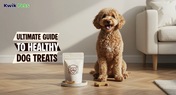Ultimate Guide To Healthy Dog Treats