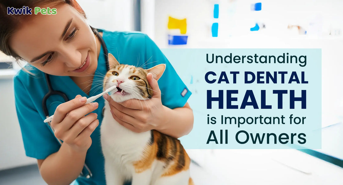 Understanding Cat Dental Health is Important for All Owners