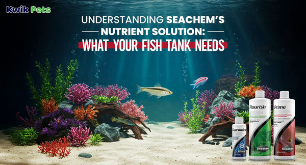 Understanding SEACHEM’s Nutrient Solution What Your Fish Tank Needs