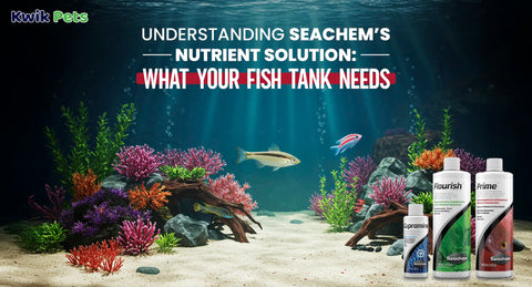 Understanding SEACHEM’s Nutrient Solution: What Your Fish Tank Needs