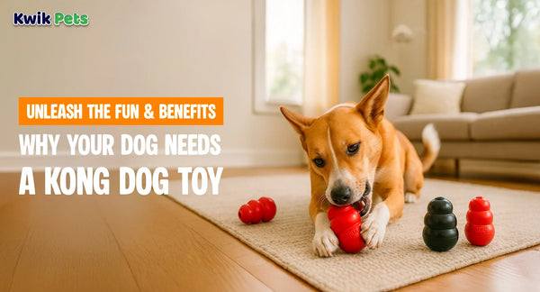 Unleash the Fun and Benefits Why Your Dog Needs a KONG Dog Toy