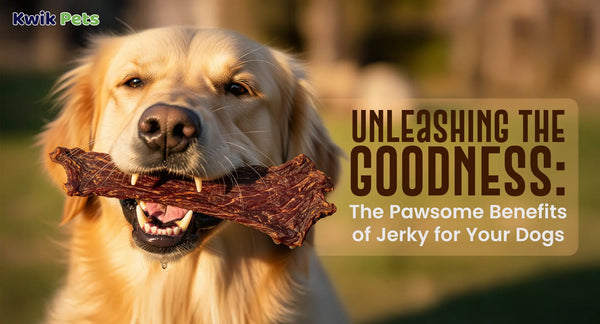 Unleashing the Goodness: The Pawsome Benefits of Jerky for Your Dogs