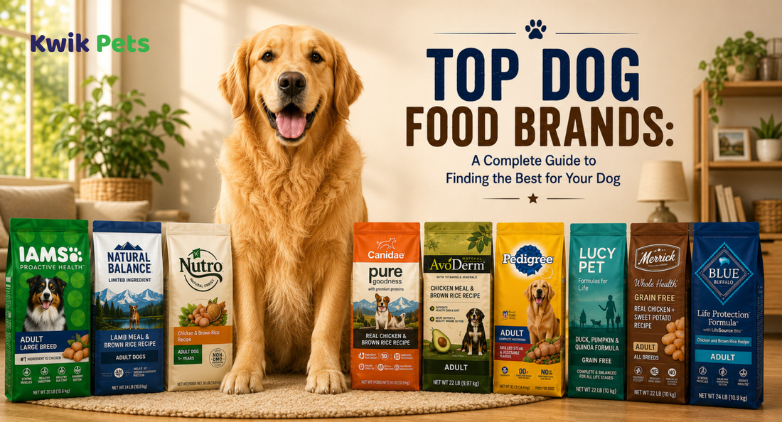 Best dog food brands