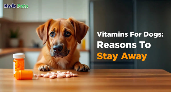 Vitamins For Dogs: Reasons To Stay Away