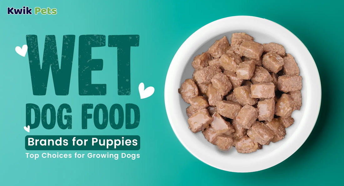 Wet Dog Food Brands