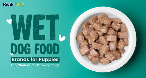 Wet Dog Food Brands for Puppies: Top Choices for Growing Dogs