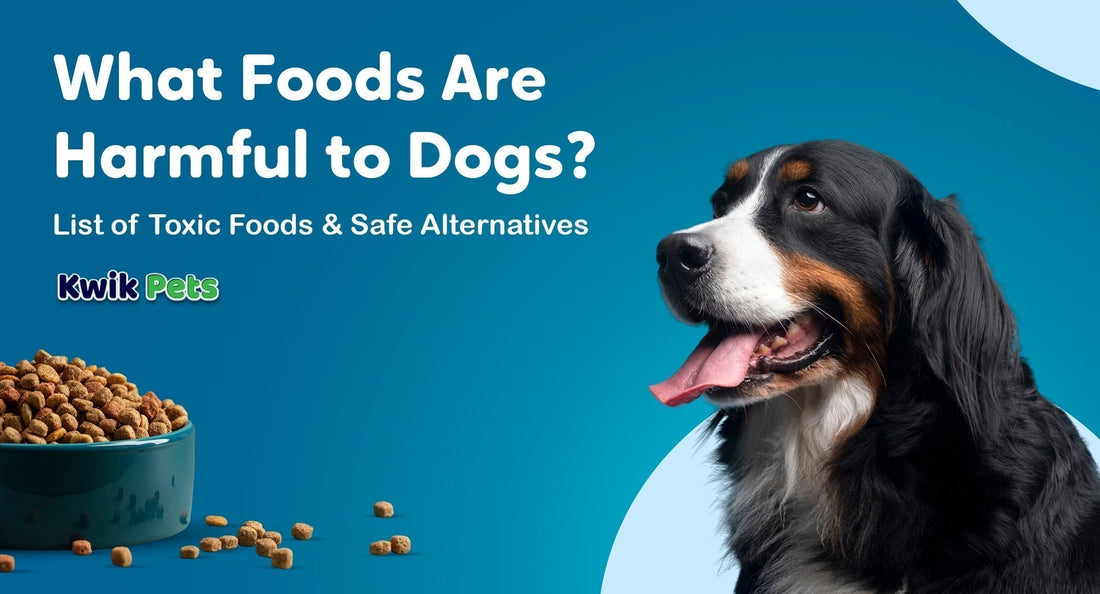 what foods are harmful to dogs