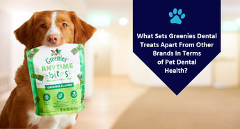 What Sets Greenies Dental Treats Apart From Other Brands In Terms of Pet Dental Health?