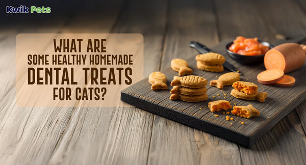 What Are Some Healthy Homemade Dental Treats For Cats?