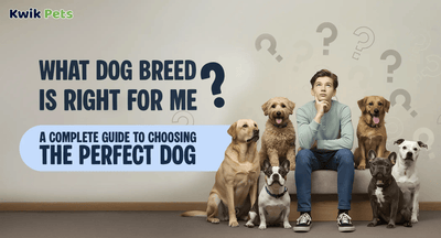 What Dog Breed Is Right for Me? A Complete Guide to Choosing the Perfect Dog