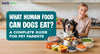 What Human Food Can Dogs Eat? A Complete Guide for Pet Parents