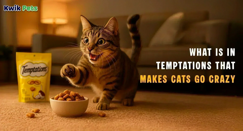What Is In Temptations That Makes Cats Go Crazy?