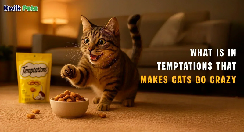 What Is In Temptations That Makes Cats Go Crazy?