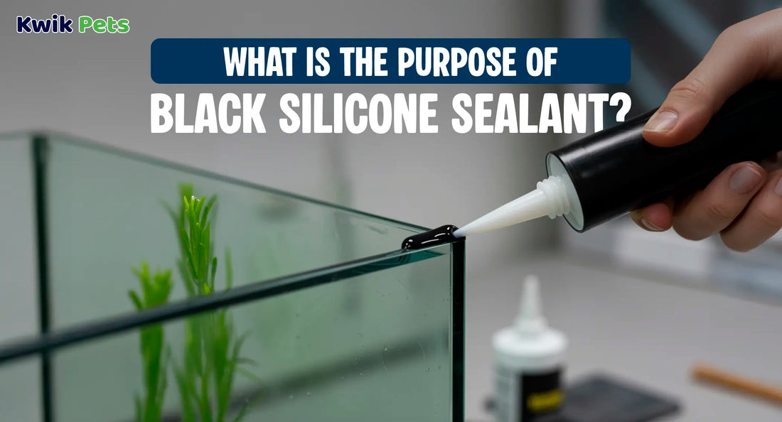 What Is The Purpose Of Black Silicone Sealant?