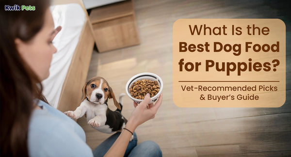 What Is the Best Dog Food for Puppies