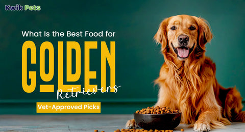What Is the Best Food for Golden Retrievers? Vet-Approved Picks