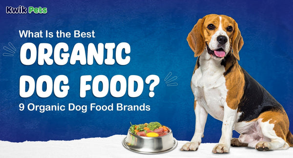 organic dog food