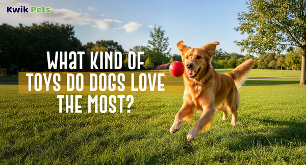 What Kind Of Toys Do Dogs Love The Most?