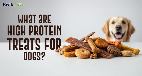 What are High Protein Treats for Dogs