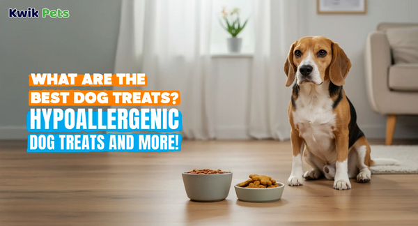 What are the Best Dog Treats? Hypoallergenic Dog Treats and More!