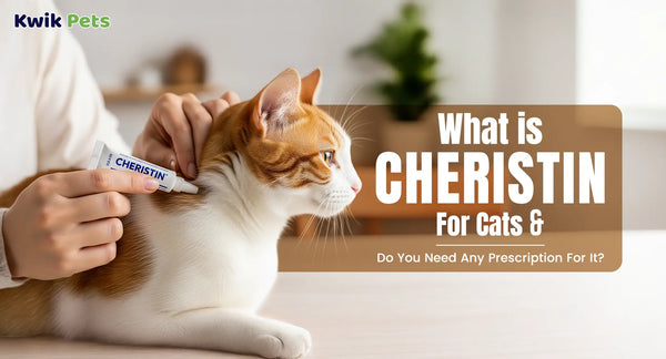 What is Cheristin For Cats & Do You Need Any Prescription For It?