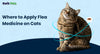 Where to Apply Flea Medicine on Cats (Step-by-Step Vet Guide)