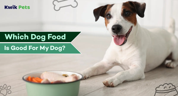 which dog food is good for my dogs