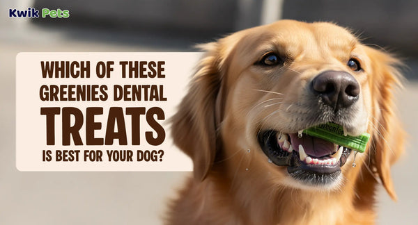 Which Of These Greenies Dental Treats Is Best For Your Dog?