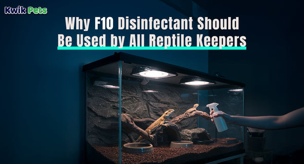 Why F10 Disinfectant Should Be Used by All Reptile Keepers