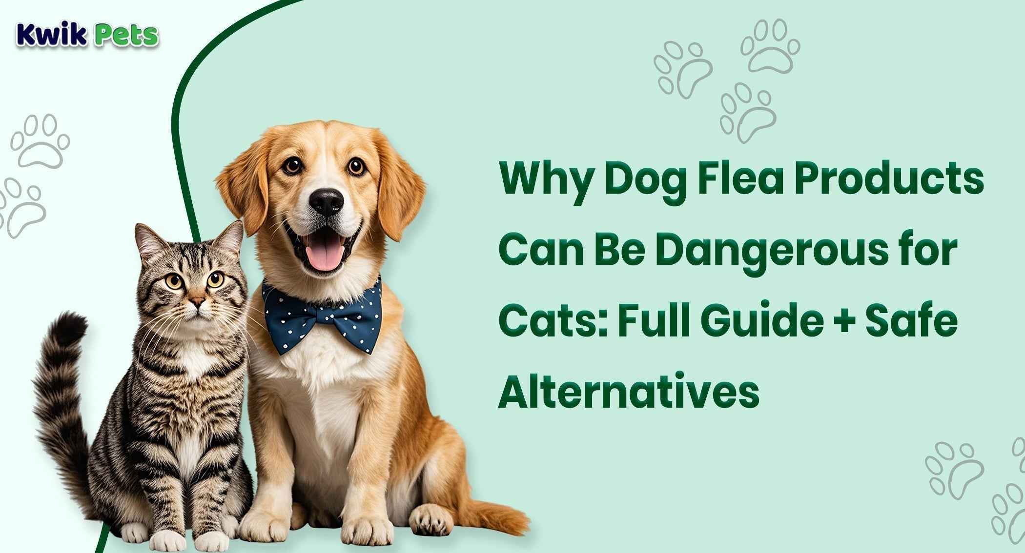 Why Dog Flea Products Can Be Dangerous for Cats: Full Guide + Safe Alternatives