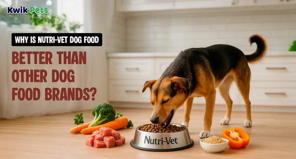 Why Is Nutri-Vet Dog Food Better Than Other Dog Food Brands