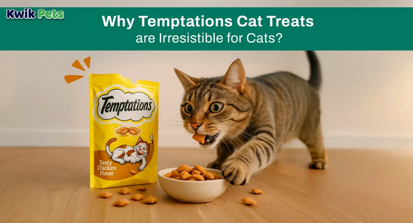 Why Temptations Cat Treats are Irresistible for Cats?