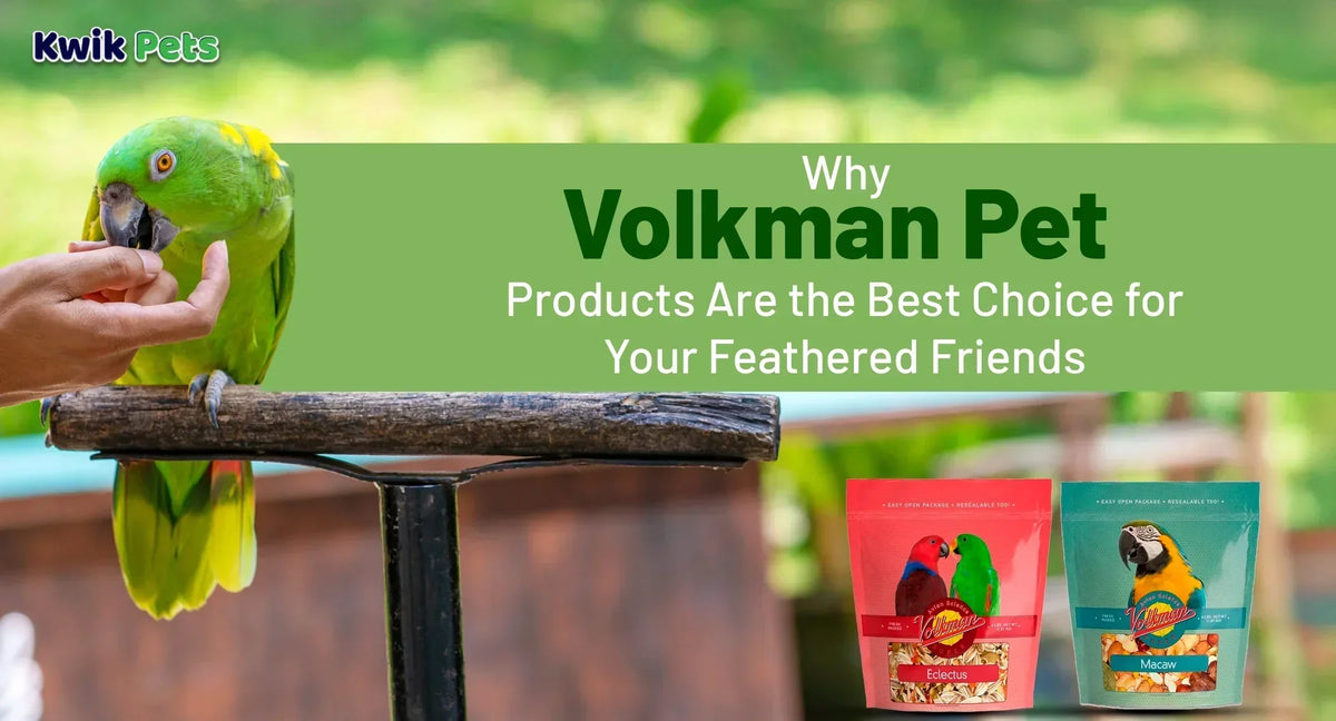 Why Volkman Pet Products Are the Best Choice for Your Feathered Friends